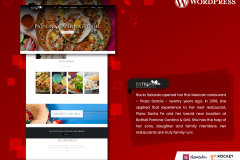 WordPress Website Development
